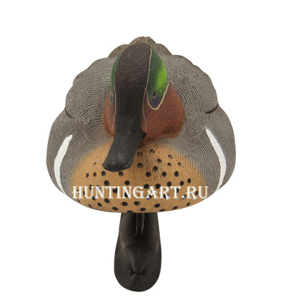 Комплект Avian-X из 6 чучел чирков - Topflight Green-Winged Teal (4 селезня/2 утки) купить в магазине Хантингарт