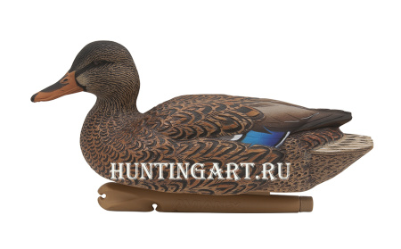 Комплект Avian-X Topflight Open Water Mallards из 6 кормящихся чучел кряквы купить в магазине Хантингарт