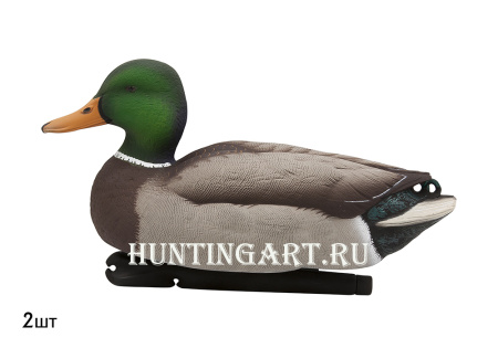 Комплект Avian-X Topflight Open Water Mallards из 6 кормящихся чучел кряквы купить в магазине Хантингарт