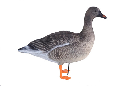 Комплект из 10 сминаемых чучел Гуменника North Way SuperXPE 3D (Антиблик) (6 кормящихся+2 отдыхающих+2 сторожевых) купить в интернет-магазине ХантингАрт