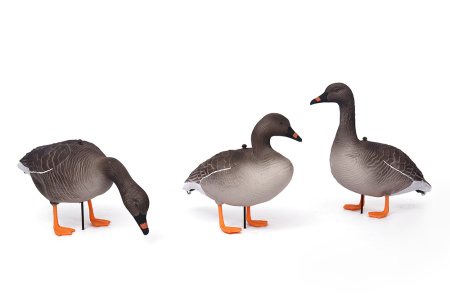 Комплект из 10 шт (6 кормящихся, 2 сторожевых, 2 отдыхающих) сминаемых чучел Гуменника Softplast 3D North Way купить в интернет-магазине ХантингАрт