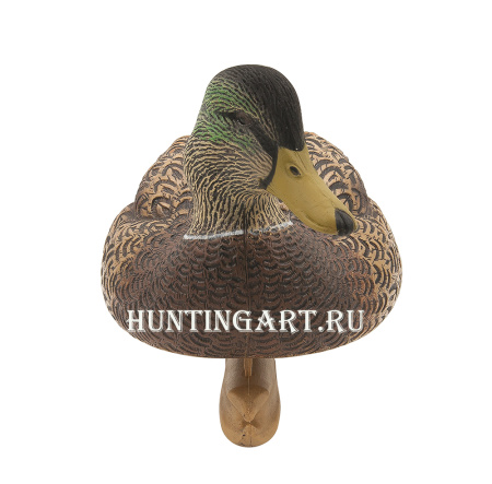 Картинка Комплект Avian-X Early Season Topflight Mallards (ранний сезон) из 6 чучел кряквы (4 селезня/2 утки) от интернет-магазина ХантингАрт Комплект Avian-X Early Season Topflight Mallards (ранний сезон) из 6 чучел кряквы (4 селезня/2 утки) купить в магазине Хантингарт