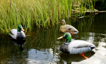 Надувные чучела уток Кряква Cherokee-Sports (3 шт) купить в магазине Хантингарт