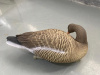 Плавающие чучела гуся Гуменника Floater Bean Goose (мягкий пластик), 6 шт в трех позах купить в интернет-магазине ХантингАрт