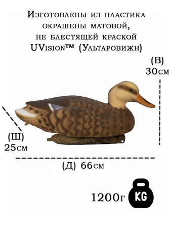 Картинка Чучела кряквы, очень большого размера 3 шт (2 селезня, 1 утка) от интернет-магазина ХантингАрт Чучела кряквы, очень большого размера 3 шт (2 селезня, 1 утка) - купить в Санкт-Петербурге