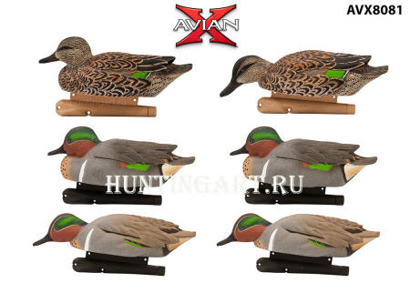 Комплект Avian-X из 6 чучел чирков - Topflight Green-Winged Teal (4 селезня/2 утки) купить в магазине Хантингарт