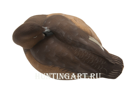 Комплект Avian-X Topflight Readheads из 6 полноразмерных чучел Красноголового нырка купить в магазине Хантингарт