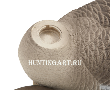 Комплект плавающих чучел Белолобого гуся Floater White fronted goose 3D Oscar Decoys, 6 шт в трех позах купить в интернет-магазине ХантингАрт