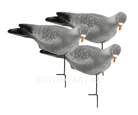 Чучела голубей, вяхиря купить в интернет-магазине ХантингАрт