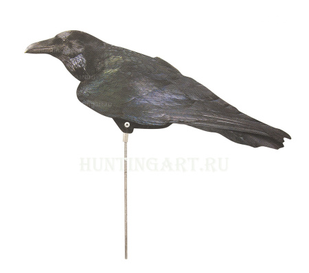 Профиль ворона купить в интернет-магазине ХантингАрт